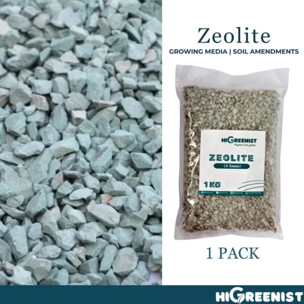 Zeolite 3-5mm (1kg) - Media Tanam Zeolite Cocok Untuk Bonsai & Kaktus - Filter Air - Campuran Pot Aerasi dan Drainase - 1Pack - Gambar 5