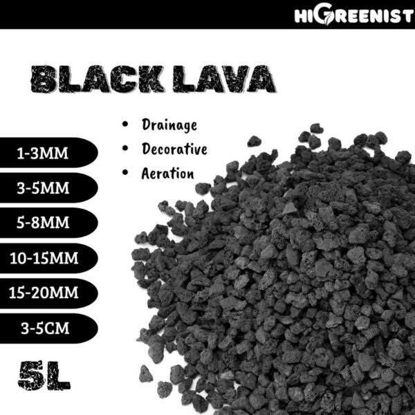 Black Lava Rock (5L) - Media Tanam Kaktus, Sukulen & Bonsai - Batu Lava Hitam - Cocok untuk penanaman Sukulen, Akuarium, Aquascape, Terarium - Batu Vulkanik - Pasir Malang Hitam - Batu Lava Alami Meningkatkan Drainase & Aerasi Tanaman - 1 Pack 1-3 MM - Gambar 5