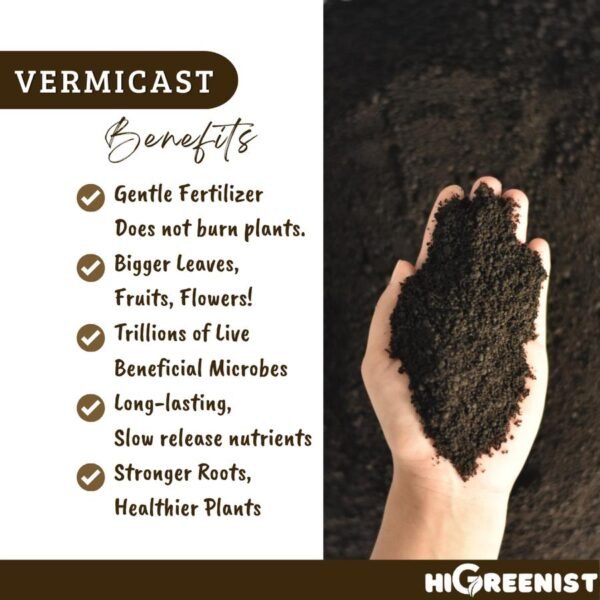 Vermicompost Premium (5L) - Media Tanam Vermikompos - Pupuk Kascing - Pupuk Cacing Vermicast untuk Nutrisi Tanah - Pupuk Tanaman Berkebun - 1 Pack - Gambar 3