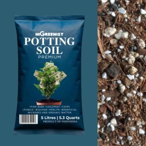 Potting Soil Premium (5L) - Media Tanam untuk Tanaman Hias Alocasia, Begonia, Calathea, Colocasia, Dracaena, Fern, Ficus, Fittonia, Hydrangea, Money Plant, Olive Tree, Palm Tree, Pachira, Peace, Lilly, Spider Plant, ZZ Plant, Etc. - 5L x 1 Pack