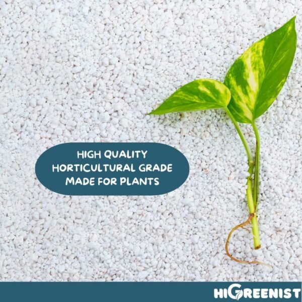 Perlite (5L) 3-6mm - Media Tanam Perlite Porous Untuk Kaktus Sukulen Hidroponik Dan Tanaman Hias - Fine Horticultural Perlite - 1 Pack - Gambar 4