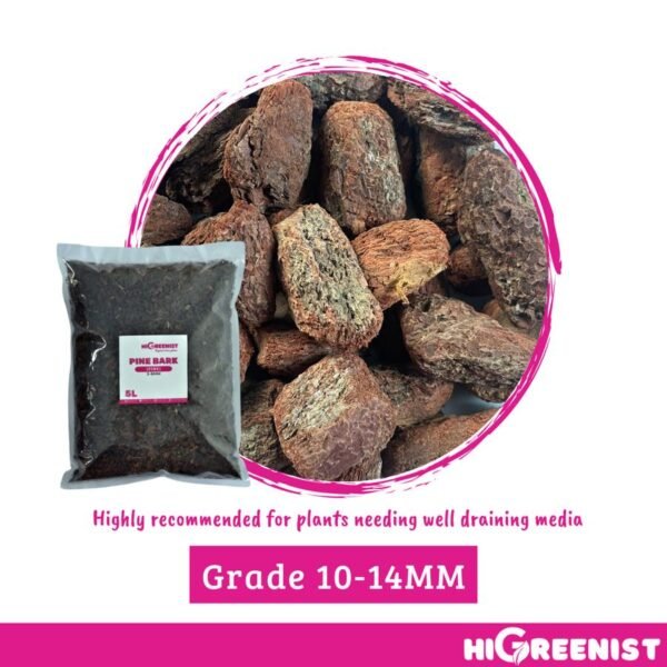 Pine Bark Premium (5L) - Media Tanam Kulit Pinus - Media Tanam Anggrek dan Aroid - Termasuk Paphiopedilum, Phragmipedium, Cymbidium, Miltoniopsis, Dendrobium, Phalaenopsis - Cocok untuk Mulsa Tanah Kebun, Mulsa Tanaman Pot, dll - 1 Pack 3-6 MM - Gambar 2