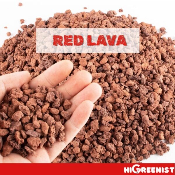 Red Lava Rock (5L) - Media Tanam Kaktus & Sukulen - Batu Lava Merah - Cocok untuk penanaman Sukulen, Akuarium, Aquascape, Terarium - Batu Vulkanik - Pasir Malang Merah - Batu Lava Alami Meningkatkan Drainase & Aerasi Tanaman - 1 Pack 1-3 MM - Gambar 3