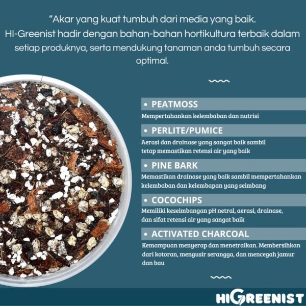 Potting Soil Premium (5L) - Media Tanam untuk Tanaman Hias Alocasia, Begonia, Calathea, Colocasia, Dracaena, Fern, Ficus, Fittonia, Hydrangea, Money Plant, Olive Tree, Palm Tree, Pachira, Peace, Lilly, Spider Plant, ZZ Plant, Etc. - 5L x 1 Pack - Gambar 2