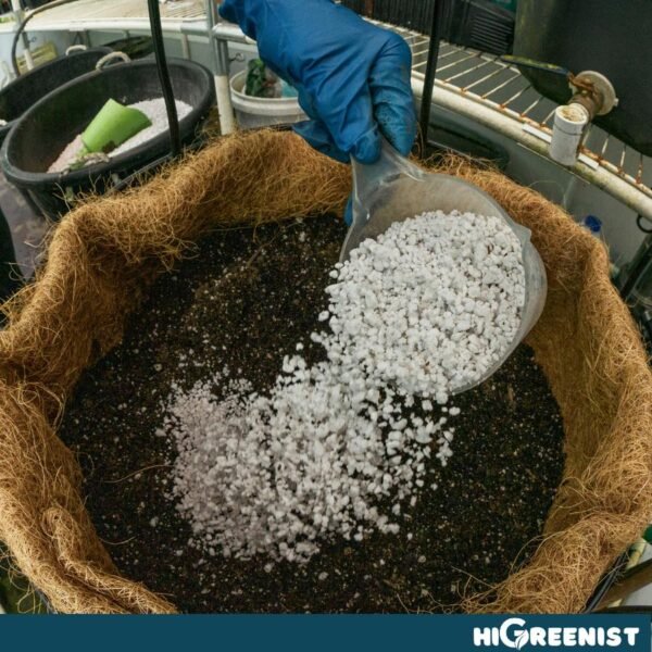 Perlite (5L) 3-6mm - Media Tanam Perlite Porous Untuk Kaktus Sukulen Hidroponik Dan Tanaman Hias - Fine Horticultural Perlite - 1 Pack - Gambar 7