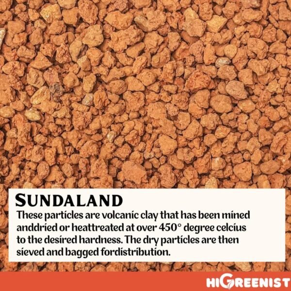Sundaland Soil (14L) Bag - Media Tanam Kaktus & Sukulen - Indonesia Soil Substrate - 1-3 mm, 14 Liter Bag - Gambar 2