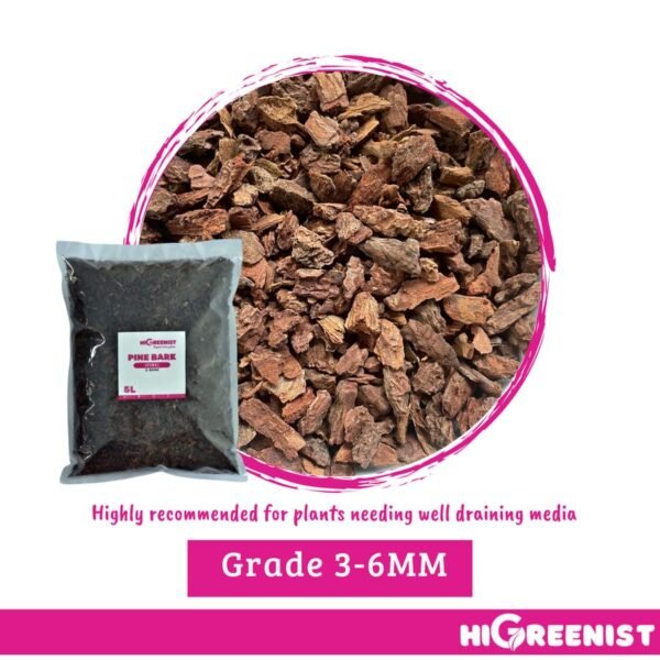 Pine Bark Premium (5L) - Media Tanam Kulit Pinus - Media Tanam Anggrek dan Aroid - Termasuk Paphiopedilum, Phragmipedium, Cymbidium, Miltoniopsis, Dendrobium, Phalaenopsis - Cocok untuk Mulsa Tanah Kebun, Mulsa Tanaman Pot, dll - 1 Pack 3-6 MM - Gambar 6