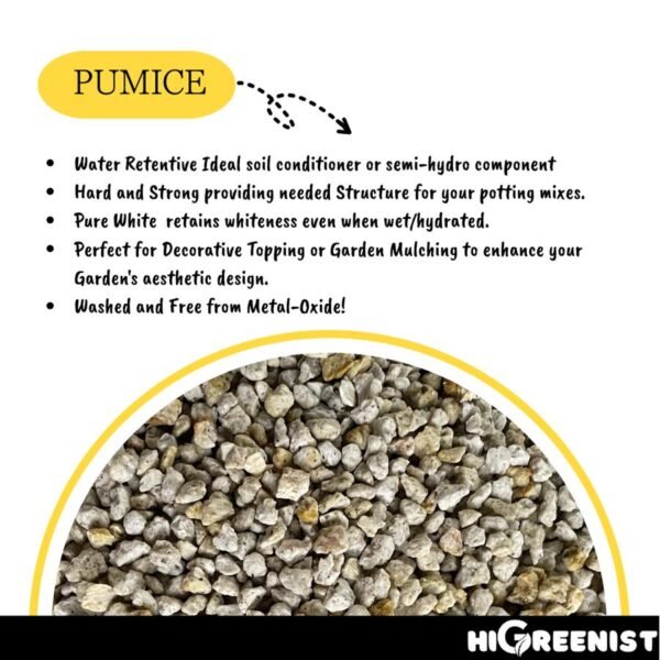 White Pumice (5L) - Media Tanam Pumice Batu Apung - Media Tanam Kaktus Sukulen - Untuk Tanaman & Dekorasi - Meningkatkan Drainase & Aerasi - Tanpa Debu - 1Pack 2-3mm - Gambar 2