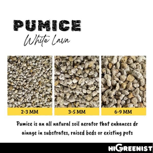 White Pumice (5L) - Media Tanam Pumice Batu Apung - Media Tanam Kaktus Sukulen - Untuk Tanaman & Dekorasi - Meningkatkan Drainase & Aerasi - Tanpa Debu - 1Pack 2-3mm - Gambar 3