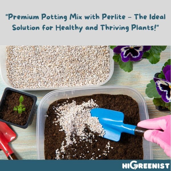 Perlite (5L) 3-6mm - Media Tanam Perlite Porous Untuk Kaktus Sukulen Hidroponik Dan Tanaman Hias - Fine Horticultural Perlite - 1 Pack - Gambar 6