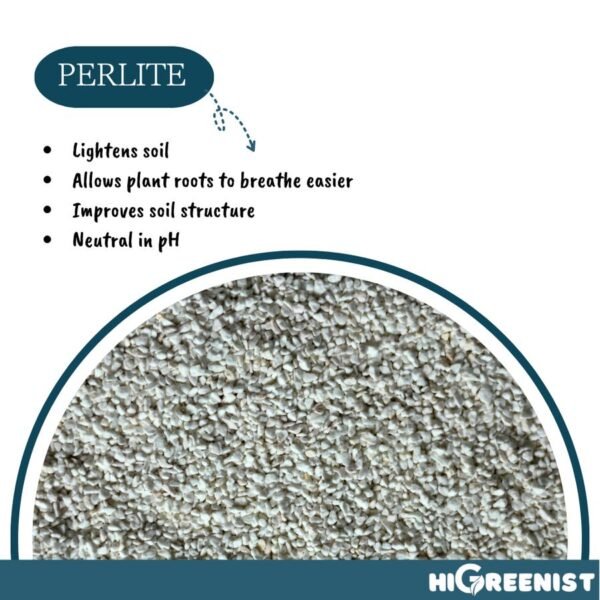 Perlite (5L) 3-6mm - Media Tanam Perlite Porous Untuk Kaktus Sukulen Hidroponik Dan Tanaman Hias - Fine Horticultural Perlite - 1 Pack - Gambar 3