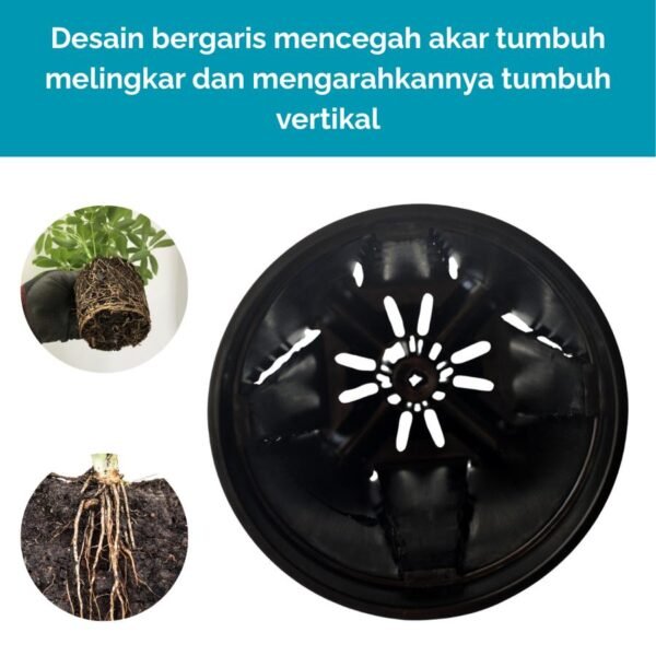 Anti Spiral Pot 15x18cm - Pot Plastik Aroid & Orchids - Hitam & Transparan - Dengan Sistem Drainase & Aerasi - Akar Optimal - Transparan - Gambar 3