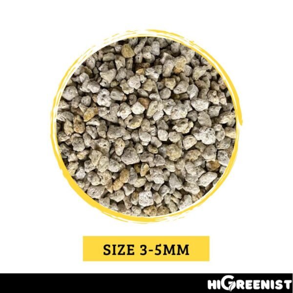 White Pumice (5L) - Media Tanam Pumice Batu Apung - Media Tanam Kaktus Sukulen - Untuk Tanaman & Dekorasi - Meningkatkan Drainase & Aerasi - Tanpa Debu - 1Pack 2-3mm - Gambar 4