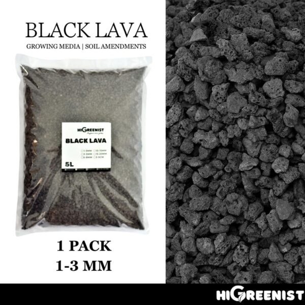 Black Lava Rock (5L) - Media Tanam Kaktus, Sukulen & Bonsai - Batu Lava Hitam - Cocok untuk penanaman Sukulen, Akuarium, Aquascape, Terarium - Batu Vulkanik - Pasir Malang Hitam - Batu Lava Alami Meningkatkan Drainase & Aerasi Tanaman - 1 Pack 1-3 MM - Gambar 4