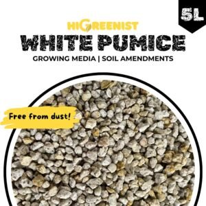 White Pumice (5L) - Media Tanam Pumice Batu Apung - Media Tanam Kaktus Sukulen - Untuk Tanaman & Dekorasi - Meningkatkan Drainase & Aerasi - Tanpa Debu - 1Pack 2-3mm