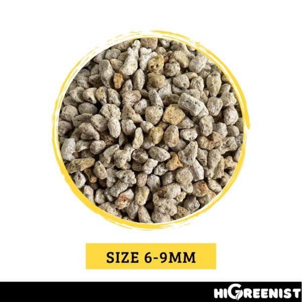White Pumice (5L) - Media Tanam Pumice Batu Apung - Media Tanam Kaktus Sukulen - Untuk Tanaman & Dekorasi - Meningkatkan Drainase & Aerasi - Tanpa Debu - 1Pack 2-3mm - Gambar 5