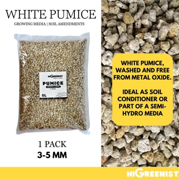 White Pumice (5L) - Media Tanam Pumice Batu Apung - Media Tanam Kaktus Sukulen - Untuk Tanaman & Dekorasi - Meningkatkan Drainase & Aerasi - Tanpa Debu - 1Pack 2-3mm - Gambar 7