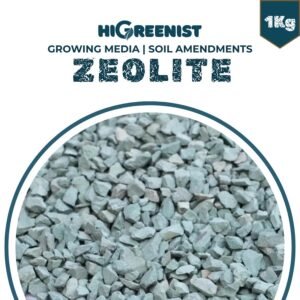 Zeolite 3-5mm (1kg) - Media Tanam Zeolite Cocok Untuk Bonsai & Kaktus - Filter Air - Campuran Pot Aerasi dan Drainase - 1Pack
