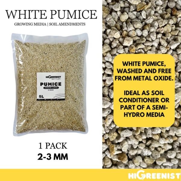 White Pumice (5L) - Media Tanam Pumice Batu Apung - Media Tanam Kaktus Sukulen - Untuk Tanaman & Dekorasi - Meningkatkan Drainase & Aerasi - Tanpa Debu - 1Pack 2-3mm - Gambar 8
