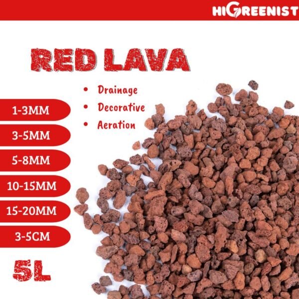 Red Lava Rock (5L) - Media Tanam Kaktus & Sukulen - Batu Lava Merah - Cocok untuk penanaman Sukulen, Akuarium, Aquascape, Terarium - Batu Vulkanik - Pasir Malang Merah - Batu Lava Alami Meningkatkan Drainase & Aerasi Tanaman - 1 Pack 1-3 MM - Gambar 2