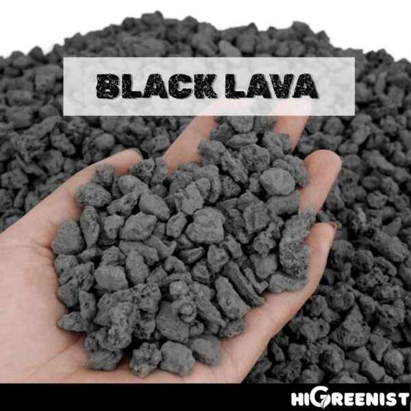Black Lava Rock (5L) - Media Tanam Kaktus, Sukulen & Bonsai - Batu Lava Hitam - Cocok untuk penanaman Sukulen, Akuarium, Aquascape, Terarium - Batu Vulkanik - Pasir Malang Hitam - Batu Lava Alami Meningkatkan Drainase & Aerasi Tanaman - 1 Pack 1-3 MM - Gambar 7