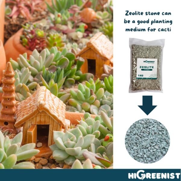 Zeolite 3-5mm (1kg) - Media Tanam Zeolite Cocok Untuk Bonsai & Kaktus - Filter Air - Campuran Pot Aerasi dan Drainase - 1Pack - Gambar 4