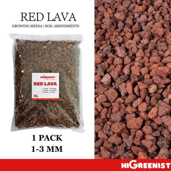 Red Lava Rock (5L) - Media Tanam Kaktus & Sukulen - Batu Lava Merah - Cocok untuk penanaman Sukulen, Akuarium, Aquascape, Terarium - Batu Vulkanik - Pasir Malang Merah - Batu Lava Alami Meningkatkan Drainase & Aerasi Tanaman - 1 Pack 1-3 MM - Gambar 7