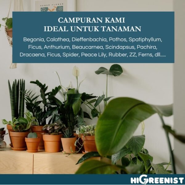 Potting Soil Premium (5L) - Media Tanam untuk Tanaman Hias Alocasia, Begonia, Calathea, Colocasia, Dracaena, Fern, Ficus, Fittonia, Hydrangea, Money Plant, Olive Tree, Palm Tree, Pachira, Peace, Lilly, Spider Plant, ZZ Plant, Etc. - 5L x 1 Pack - Gambar 7
