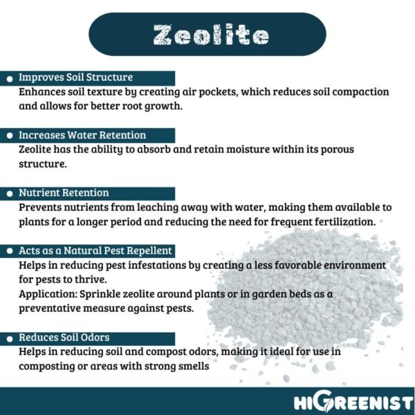 Zeolite 3-5mm (1kg) - Media Tanam Zeolite Cocok Untuk Bonsai & Kaktus - Filter Air - Campuran Pot Aerasi dan Drainase - 1Pack - Gambar 2