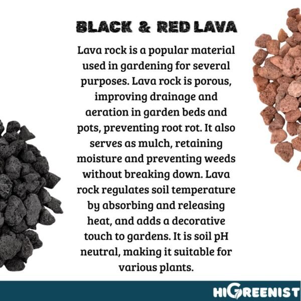 Black Lava Rock (5L) - Media Tanam Kaktus, Sukulen & Bonsai - Batu Lava Hitam - Cocok untuk penanaman Sukulen, Akuarium, Aquascape, Terarium - Batu Vulkanik - Pasir Malang Hitam - Batu Lava Alami Meningkatkan Drainase & Aerasi Tanaman - 1 Pack 1-3 MM - Gambar 9